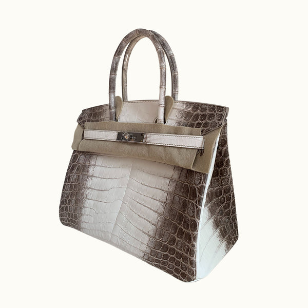 Hermès Birkin 25 Himalaya Crocodile Niloticus Matte Palladium Hardware