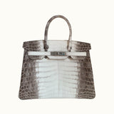 Hermès Birkin 25 Himalaya Crocodile Niloticus Matte Palladium Hardware